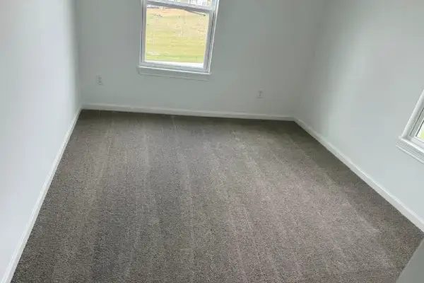 Carpet Cleaning