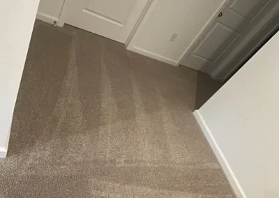 Cleaning Specialist