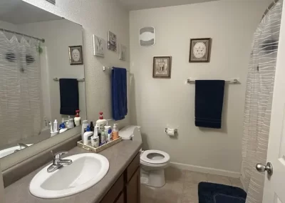 Professional House Cleaning
