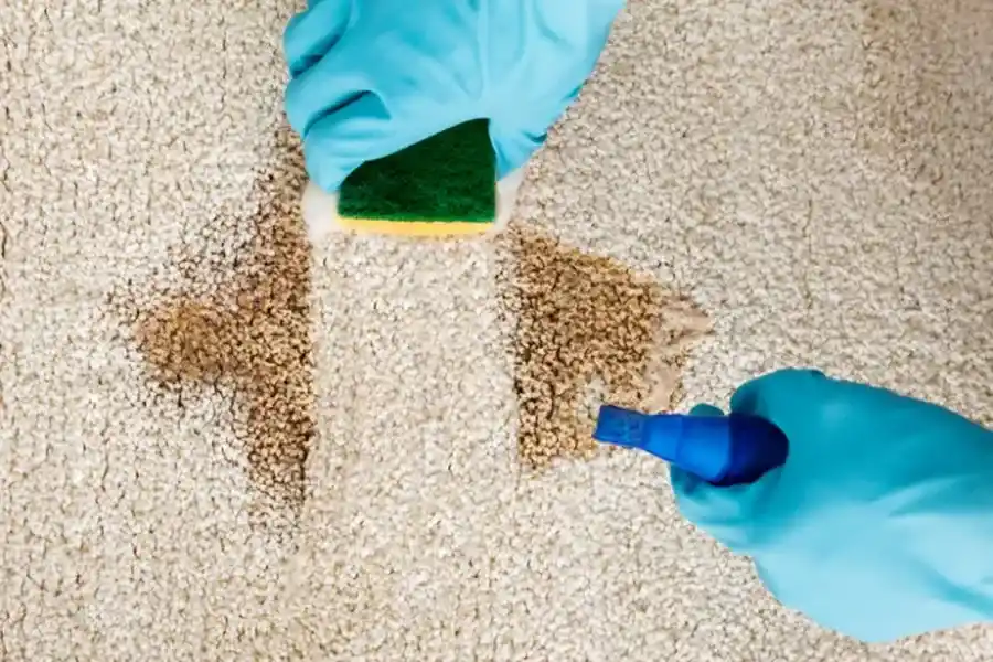 How Carpet Cleaning Helps Eliminate Deep-seated Stains Westfield, IN