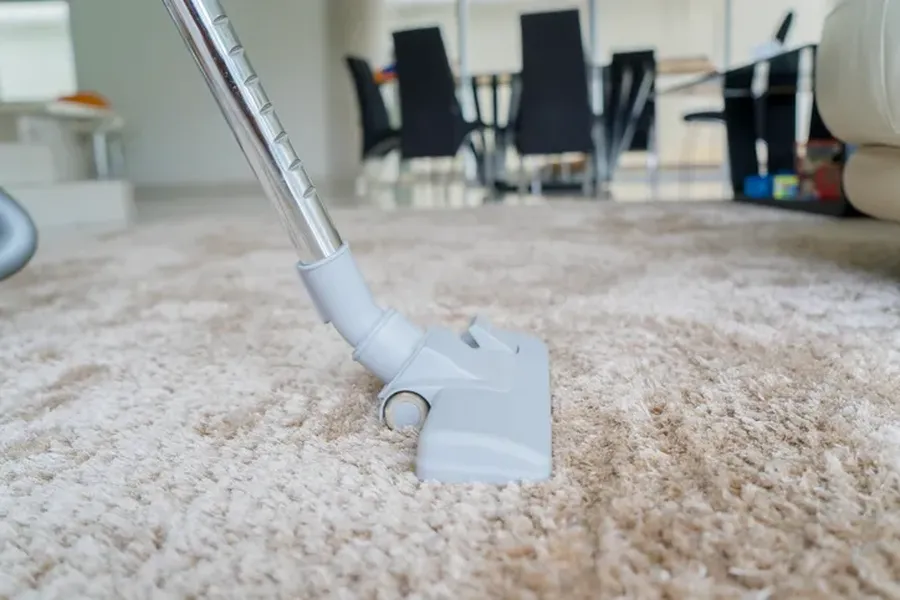 How Regular Carpet Cleaning Improves Home Air Quality in Westfield, IN