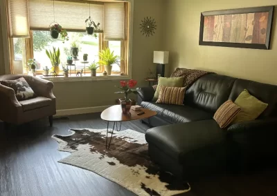 Home Cleaning Service