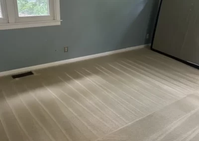 Professional House Cleaning Service