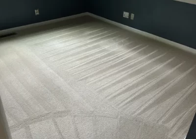 Rug Cleaning