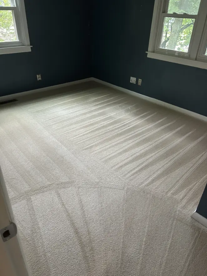 Carpet Cleaning